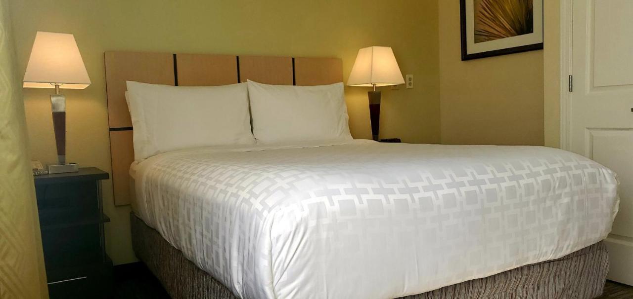 Candlewood Suites Houston Medical Center By Ihg Zewnętrze zdjęcie